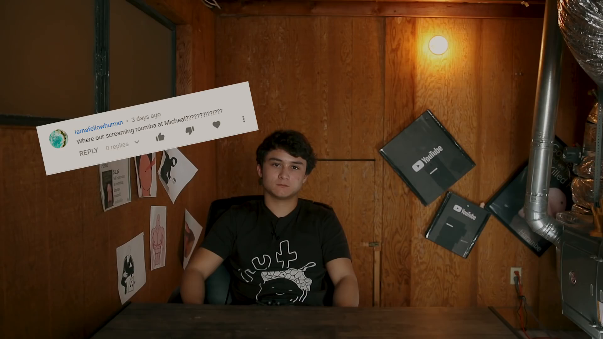 The Roomba That Screams When it Bumps Into Stuff-mvz3LRK263E.mp4